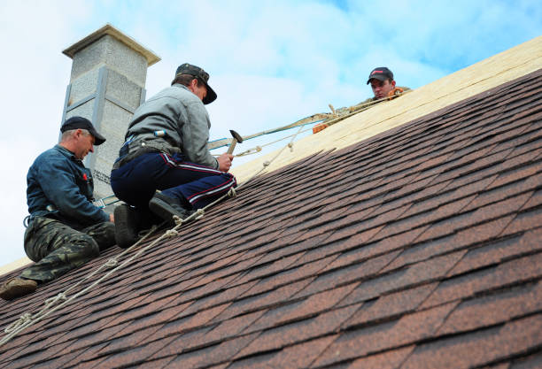 Best Roof Gutter Cleaning  in New Sharon, IA